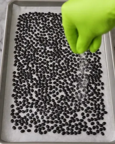 Roasted Watermelon Seeds